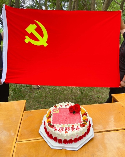 党旗 蛋糕